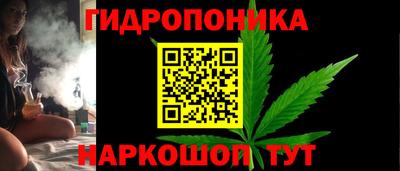 спайс Гай