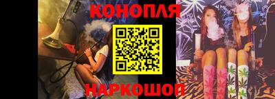спайс Гай