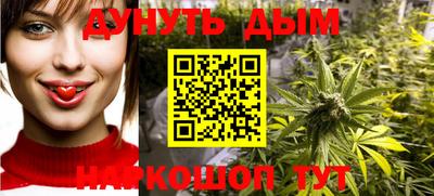 спайс Гай