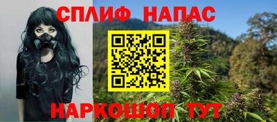 спайс Гай