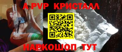 спайс Гай