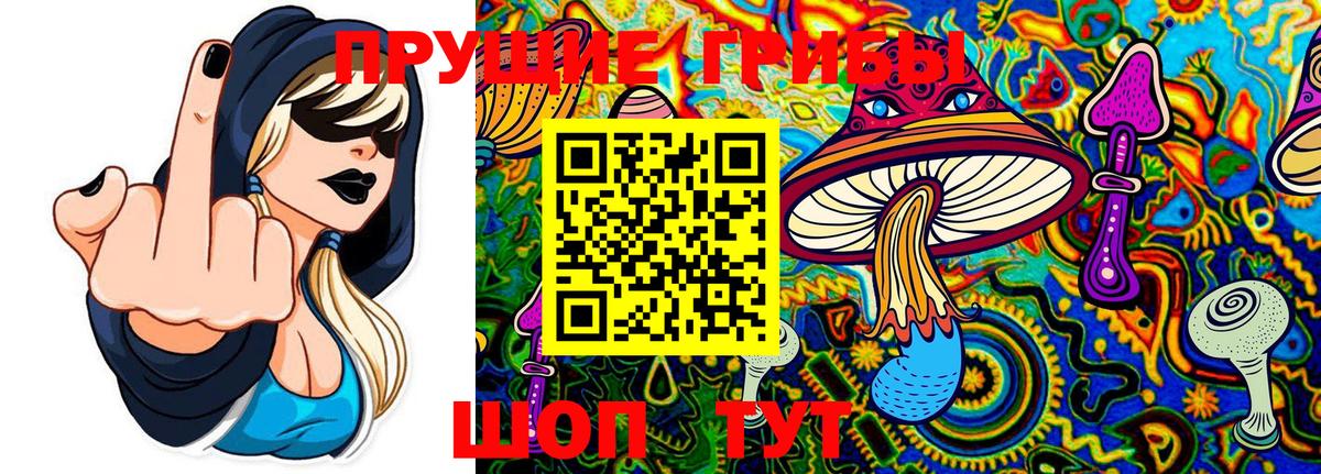 Муром  Галлюциногенные грибы MAGIC MUSHROOMS  Вход с VPN  где купить наркотик  Галлюциногенные грибы Magic Shrooms 