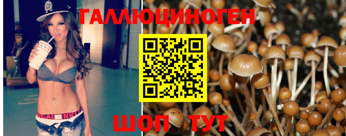 Псилоцибиновые грибы GOLDEN TEACHER Муром